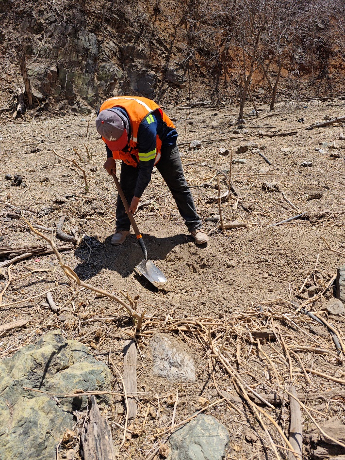 A person digging in the dirt

Description automatically generated