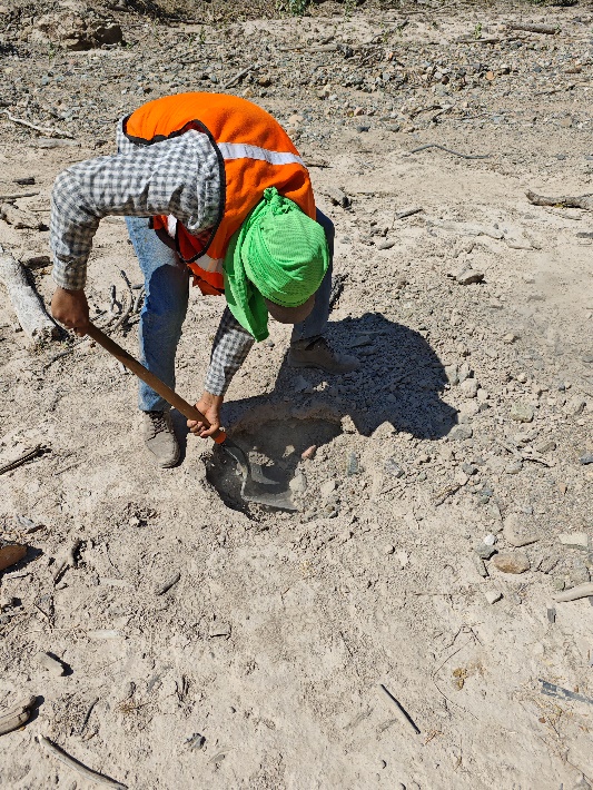 A person digging in the sand

Description automatically generated